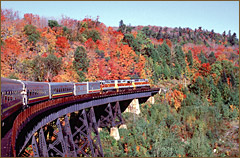 Fall Color Tours